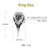 Richsteel Celtic Ring Crow Ring Stainless Steel Lucky Charm Jewelry Antique Unique Animal Bird Accessory Size 27 Birthday Gift Men's