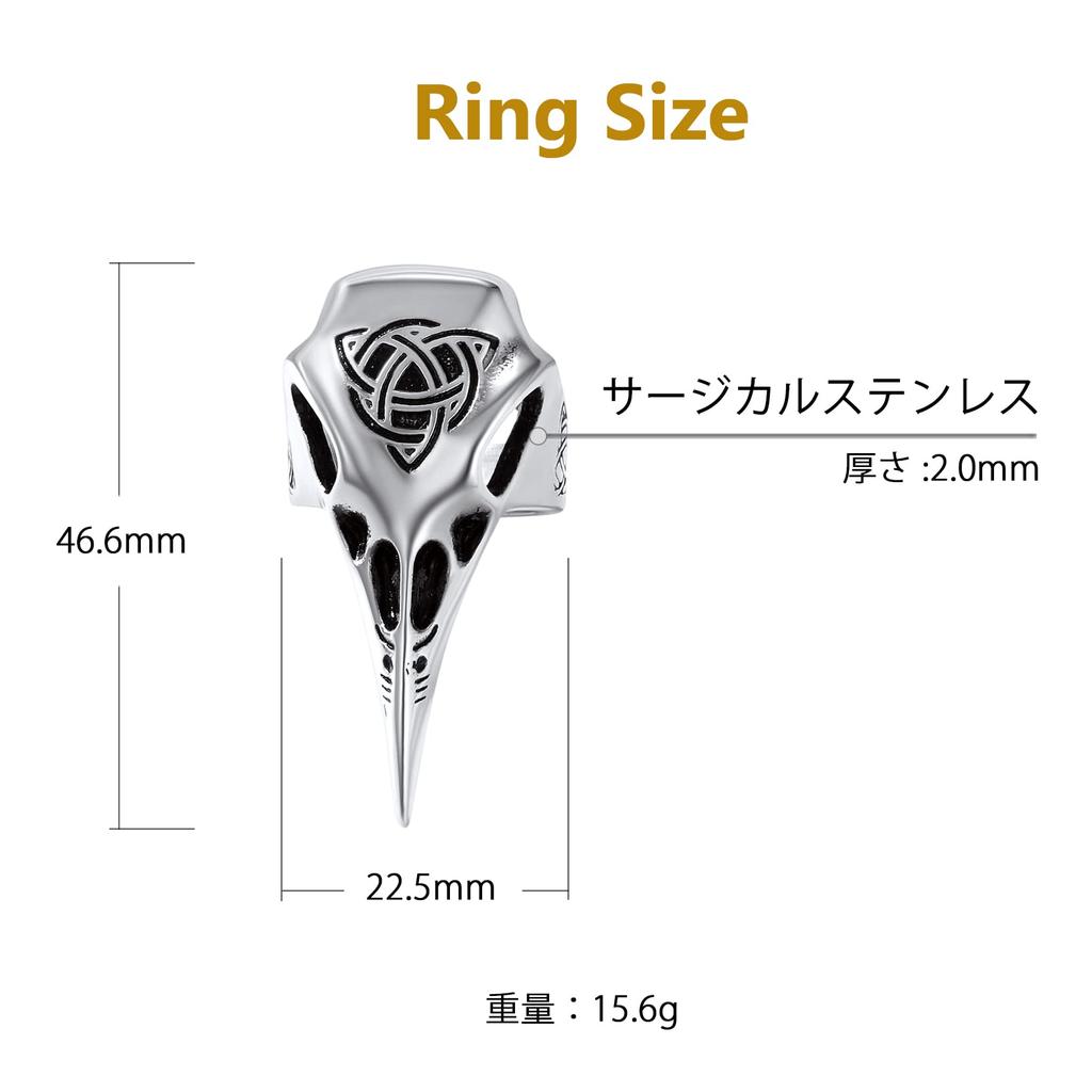 Richsteel Celtic Ring Crow Ring Stainless Steel Lucky Charm Jewelry Antique Unique Animal Bird Accessory Size 27 Birthday Gift Men's