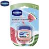 Vaseline Fresh Watermelon Lip Balm