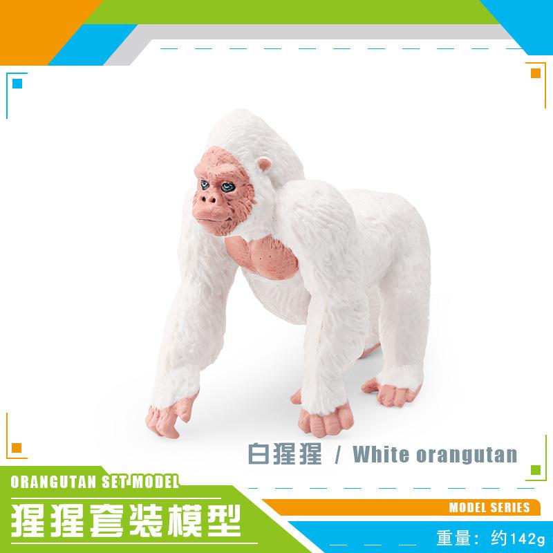 Supply Simulation Forest Animals 3 Types Of Orangutan Model White Orangutan Chimpanzee Solid Static Ornament Toys