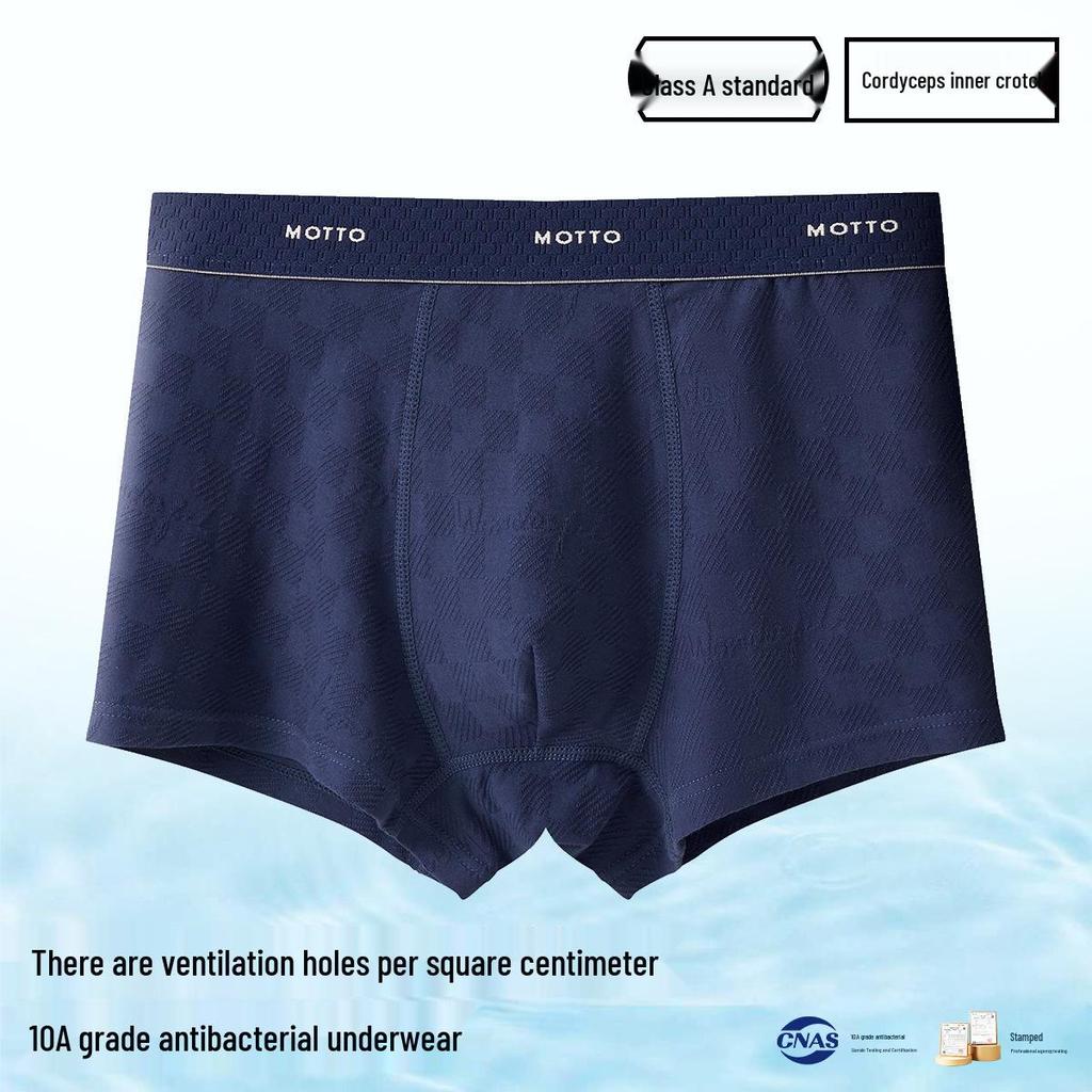 Men's A-Grade Antibacterial Pure Cotton Boxer Briefs, Plus Size, Breathable, Four-Corner Design