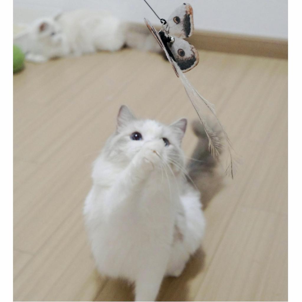 3 of Ni Cat Toy Feather Replacement Cat Teaser Cat Toy Feather Fishing Rod (1) Replacement Feathers (3)
