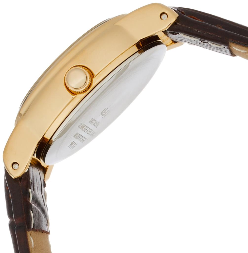 Citizen Brown Analog Waterproof Wristwatch with Leather Strap Q&Q Women's (QA63-103)