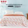 Hengyuanxiang Class A Antibacterial Soybean Summer Quilt