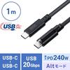 Sanwa Supply USB 20Gbps Type-C Cable (Single Screw Lock, 240W, 1m) KU-20GCCPESSL10