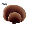 Hand Painted Mushroom Magnets 3D Refrigerator Magnet Resin Fake Decorative Memo Holder Photo Notes for Whiteboard Cabinet Kitchen
