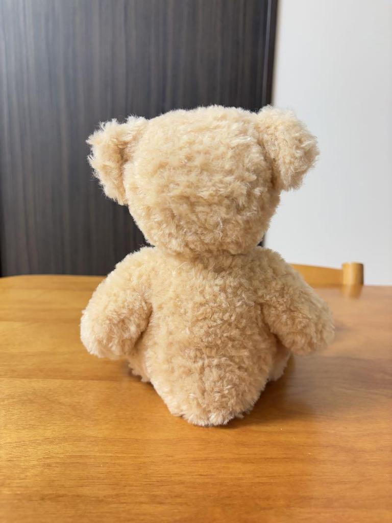 [USED] German-only Steiff teddy bear