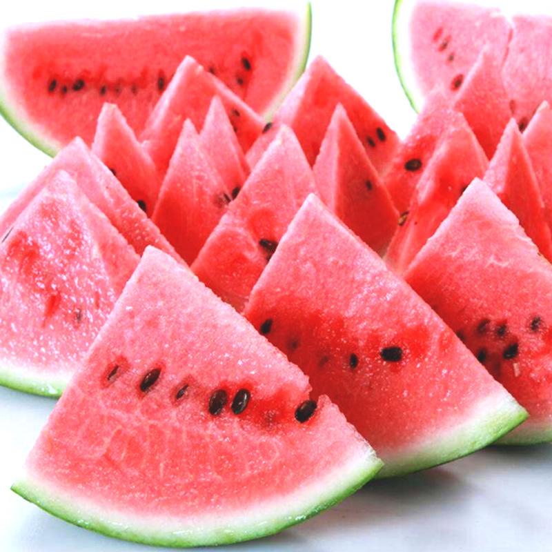 Yangjiang Stainless Steel Fruit and Melon Knife with Peeler