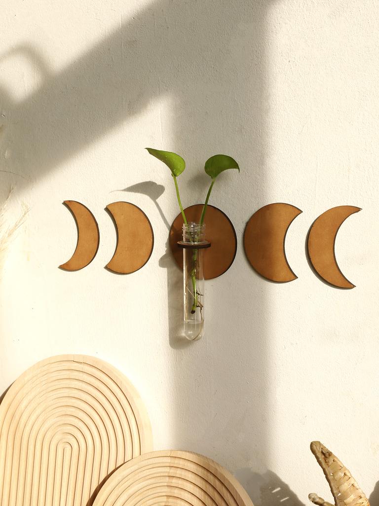 Plant Propagation Station Wall Hanging Moon Phase Home Decorations Propagation Vases for Plants Wooden Stand Hydroponics Plants