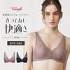 Triumph Kamiwaza Bra M013 Size D80 624, (Gray),