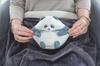 Tsumande Animals Plush Warmer (7077TMN011) Hedgehog