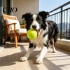 Squeaky Dog Ball Raised Texture Chew Toy Dogs Teeth Cleaning Bite-resistant Relieves Boredom And Anxiety for Puppy Teething Fetch Game Wear-resistant