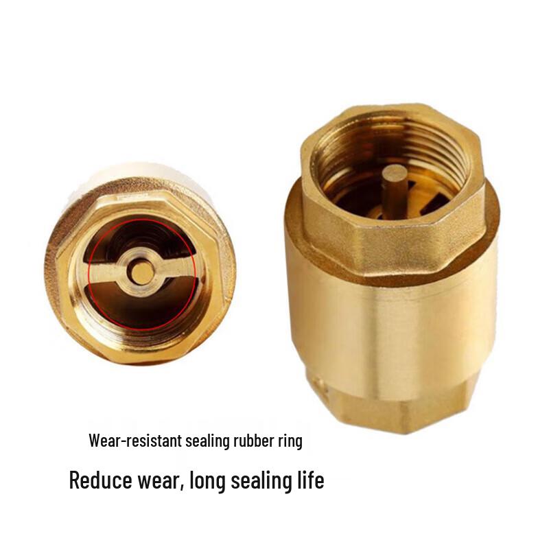 Naixin Brass Vertical Spring Check Valve