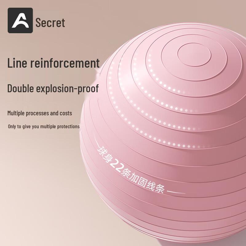 Pregnancy & Fitness Yoga Ball