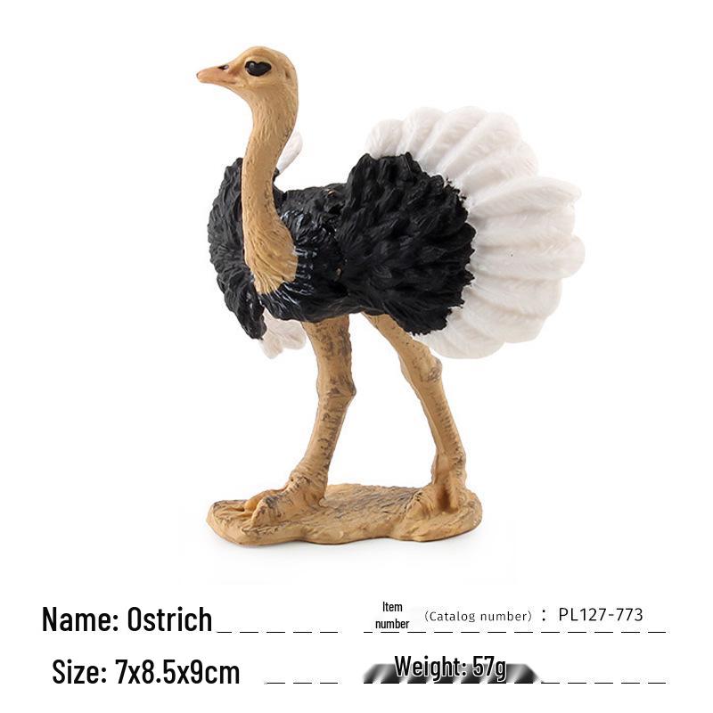 Children's Cognitive Ostrich and Flying Bird Models for Farm Decoration