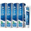 Yunnan Baiyao Wintergreen Toothpaste