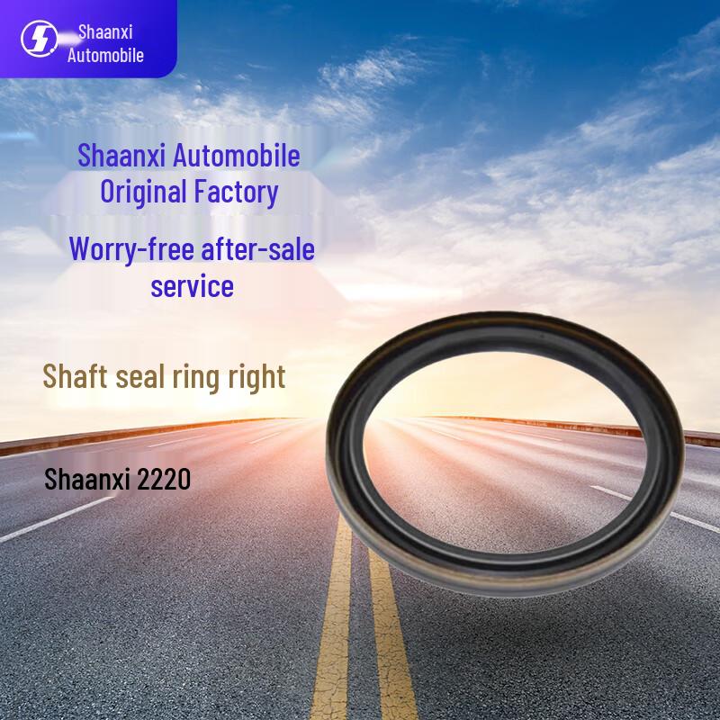 Shacman Axle Oil Seal