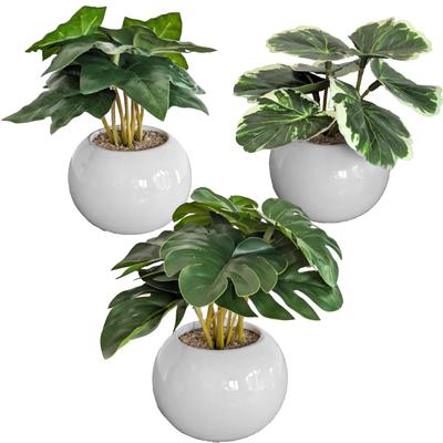 Artificial Plants Tabletop Mini No Watering for Office Day Gift Set of 3 (Monstera, Polyscias, Ivy) - Photocatalytic, Antibacterial, Deodorizing,