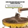Interactive Scratcher Cat Toy Scratch Resistant Durable Cat Scratching Pad Practical Gift for Cat Owners