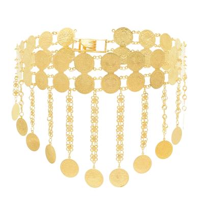 Double Layer Coin Tassels Pendant Dance Waist Chain Decoration for Belly Dancers and Fashion Enthusiasts Casual Wear