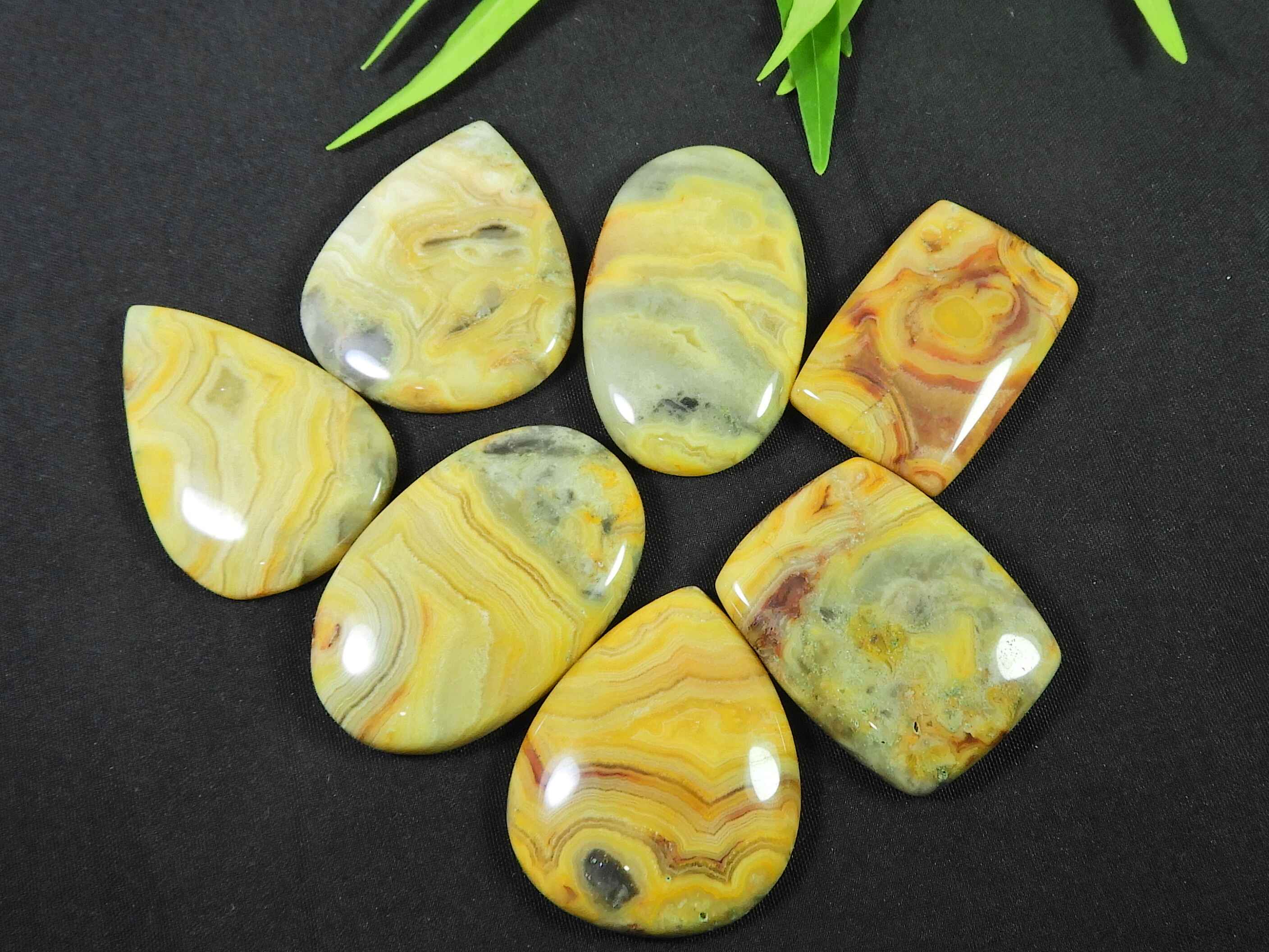 

268Cts. Australian Crazy Lace Agate Oval Cabochon Gemstone 7Pcs Lot 32-36MM RQ-2955
