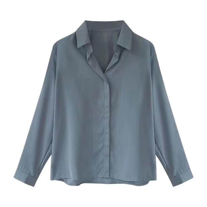 2026 Spring Korean-Style Women's Elegant Chiffon Long Sleeve Shirt