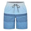 Hurley Mens Volley Ombre Stripe Swim Shorts