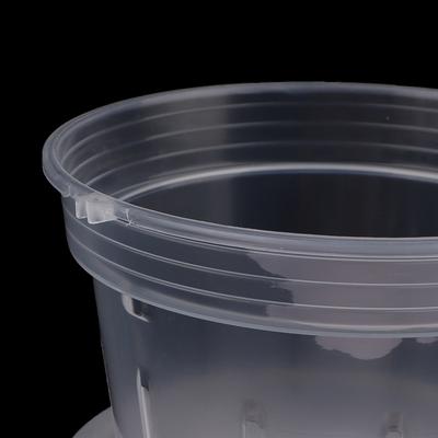 1 Pezzo Vasi per Orchidee con Vassoio in Plastica Fioriera da Vivaio Piantare Fori Trasparenti Contenitore Tazza Idroponica Piante Articoli per il Giardinaggio