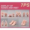 TOYBARJAPAN 1/6 Scale Figure Accessories/ANT Beautiful Female Body 7PS Orchid Fingers and Cute Fist Hand and Foot Set (for Tan Normal Skin Body)