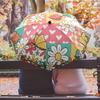 Butterfly Flower Circle (1) Printed Umbrella Windproof Folding Umbrella Portable Sun and Rain Umbrella Suitable for Gifting