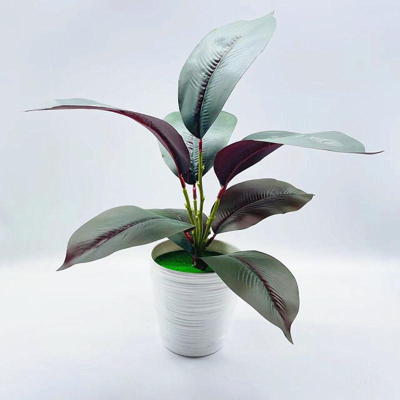 

Elastica Ficus Simulated Goeppertia Makoyana Ficus Pandurata Plants Artificial StyleA