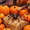 Spider Statue Gothic Horror Tabletop Ornament Cast Iron Spider Halloween Metal Decor For Mantel Windowsill Haunted House Desk