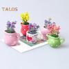 6/8 Stück Mini-Keramikvase, Kühlschrankmagnet, für Zuhause, Büro, Küche, Schließfach, Kühlschrank, 3D-Miniatur-Blumenvase, magnetische Dekoration, Ornament