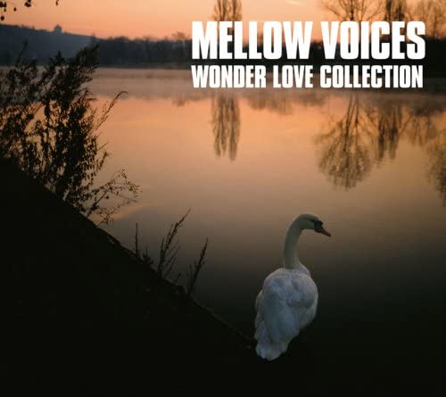 

CD РАЗЛИЧНЫЕ МЯГКИЕ ГОЛОСА WONDER LOVE COLLECTION PCD93177 2008 Япония ObiSoulFunk Б/у