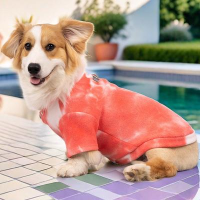 Abbigliamento e scarpe – Pullover per cani