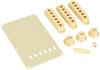 Fender Stratocaster Accessory Kits Aged White