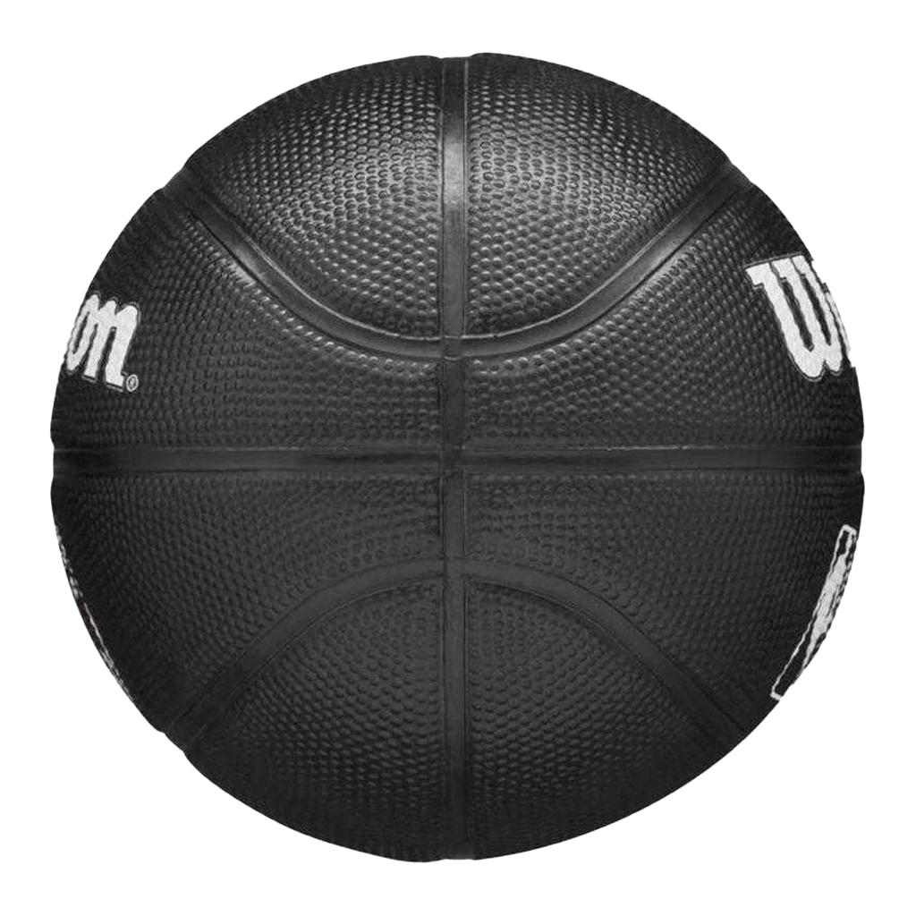 Wilson Childrens/Kids Team Tribute Toronto Raptors NBA Mini Basketball