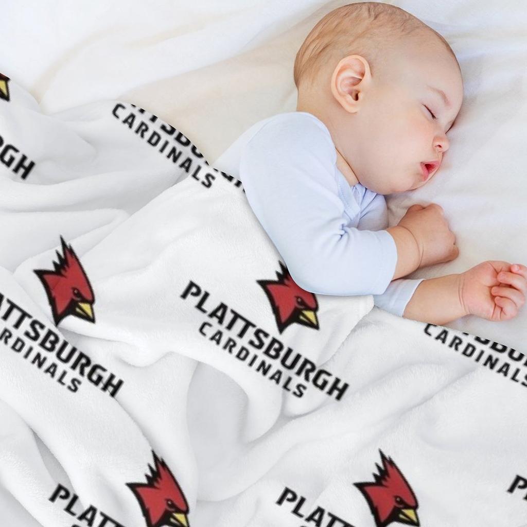 Plattsburgh Red Hawks Throw Blanket Soft Plaid Bed Fashionable Decorative Sofa Single Blankets