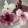 New Simulated Phalaenopsis Flower Hair Clip for Women French Elegant Barrettes Hairpin Girls Headwear Hair Accessories