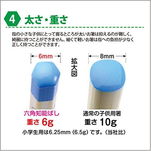 Hashisho Seiwa Hexagonal Intelligent Chopsticks, Plain (For 3rd and 4th Graders/18cm, Green)