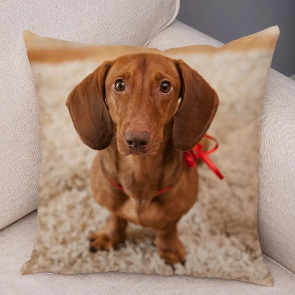 Mini Dackel Hund Kissenbezug Dekor Haustier Tier Kissenbezüge Superweicher Plüsch Kissenbezug für Sofa Zuhause Kinderzimmer 45x45cm