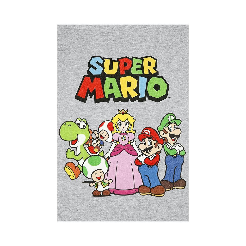 Super Mario Unisex Adult Group Shot T-Shirt