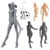 Man Luxe Shfiguarts Body Kun Chan Dx Set Drawing Figures Moveable Artists For