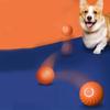 Um brinquedo de mastigar durável para cães que rola automaticamente, brinquedo para ranger os dentes de animais de estimação, brinquedo de bola de salto de gravidade e um acessório interativo para cães