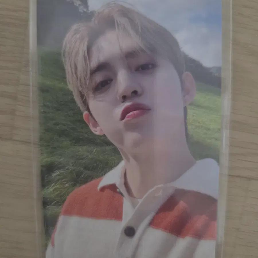 

Seventeen Foca