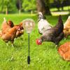 Mangiatoia Automatica per Polli Giocattolo Con Distributore a 3 Fori Meccanismo a Molla Per Polli Attrezzatura per l'Alimentazione e l'Intrattenimento