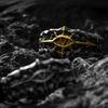 Retro The 13th Black Crusade Adjustable Open Ring For Men Punk Gothic Edgy Copper Jewelry Warhammer 40K Accessories Gift for Him