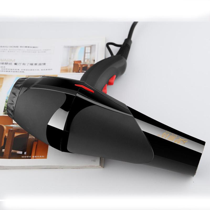 Hair Dryer Hairs Salon Style Home Use With High Air Flow And Quick 220v Drying