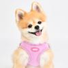 Macaron Harness (OASD-HQ6028)