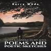 Light a Candle In My Soul Poems and Poetic Sketches by Kerry Wade... 9781035875597
